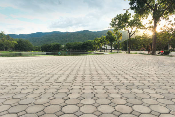 Best Local Driveway Pavers  in Royal City, WA